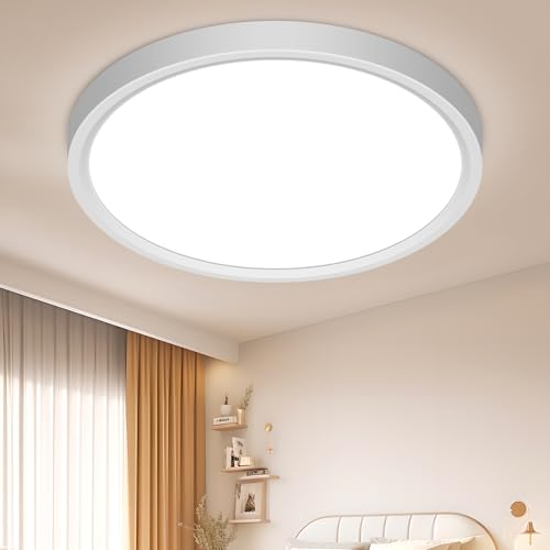 ASONINE Ceiling Light LED Ceiling Light