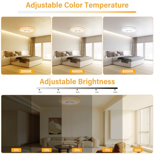 OGVDOE LED Ceiling Light Dimmable