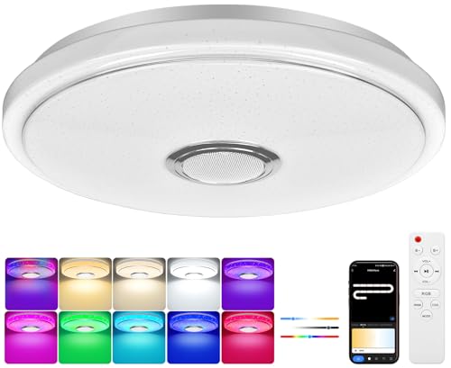 OGVDOE LED Ceiling Light Dimmable