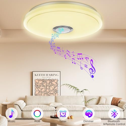 OGVDOE LED Ceiling Light Dimmable