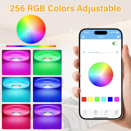 OGVDOE LED Ceiling Light Dimmable