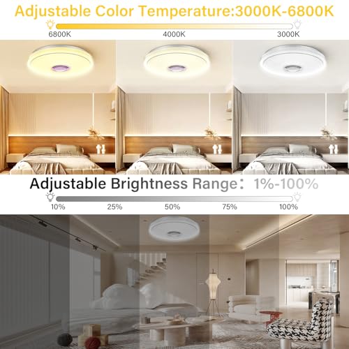 OGVDOE LED Ceiling Light Dimmable