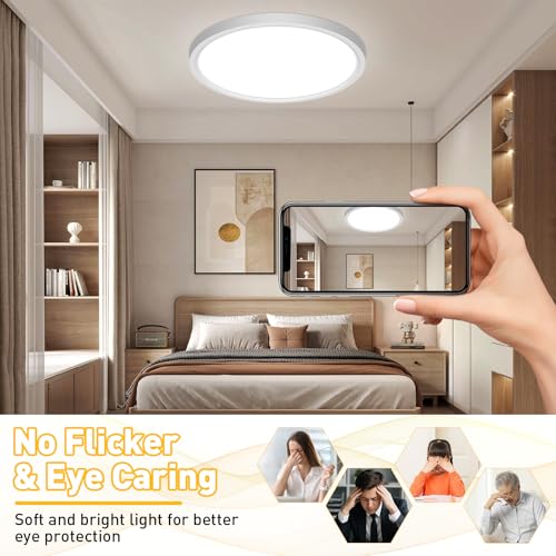 ASONINE Ceiling Light LED Ceiling Light