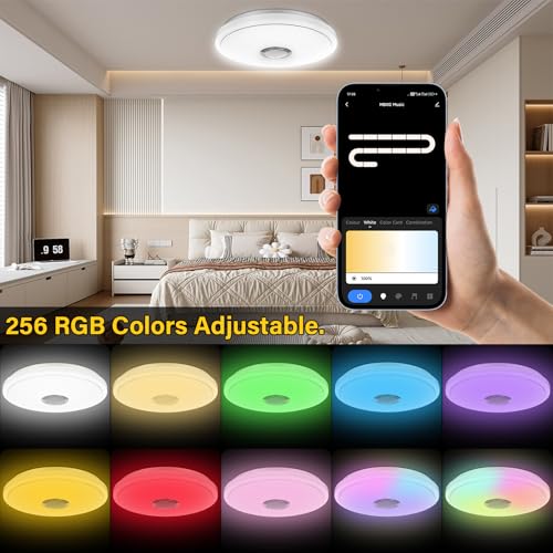 OGVDOE LED Ceiling Light Dimmable